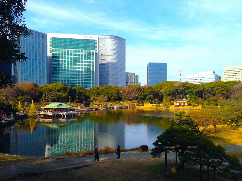 潮入の池に映る中島の御茶屋と、背景にそびえる汐留の高層ビル群