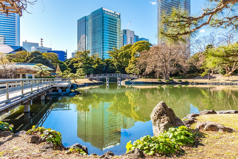 木造の橋が架かる潮入の池。水面に空とビル群がきれいに映り込んでいる